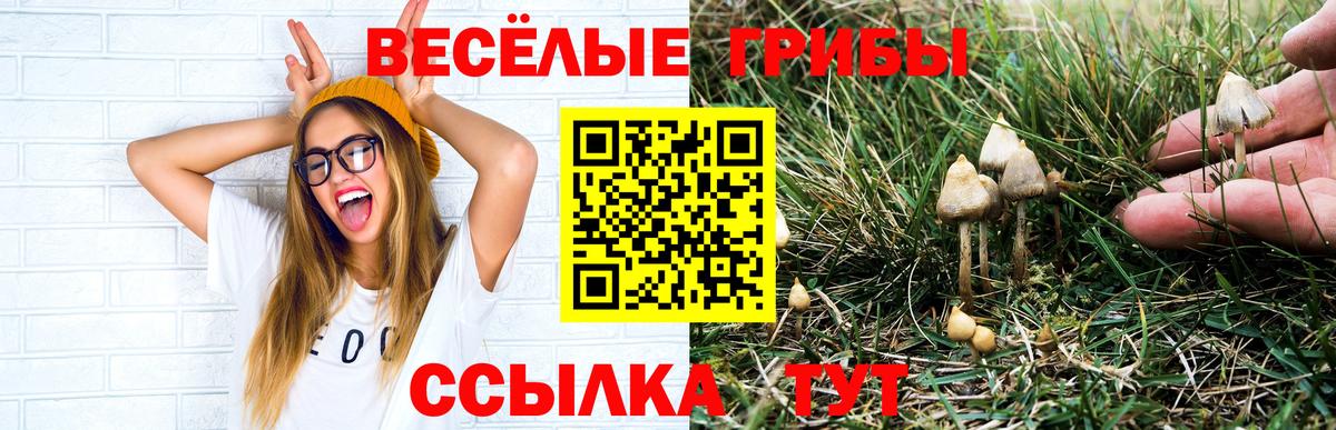 Галлюциногенные грибы Magic Shrooms  Вход с VPN  наркотики  Гусев 